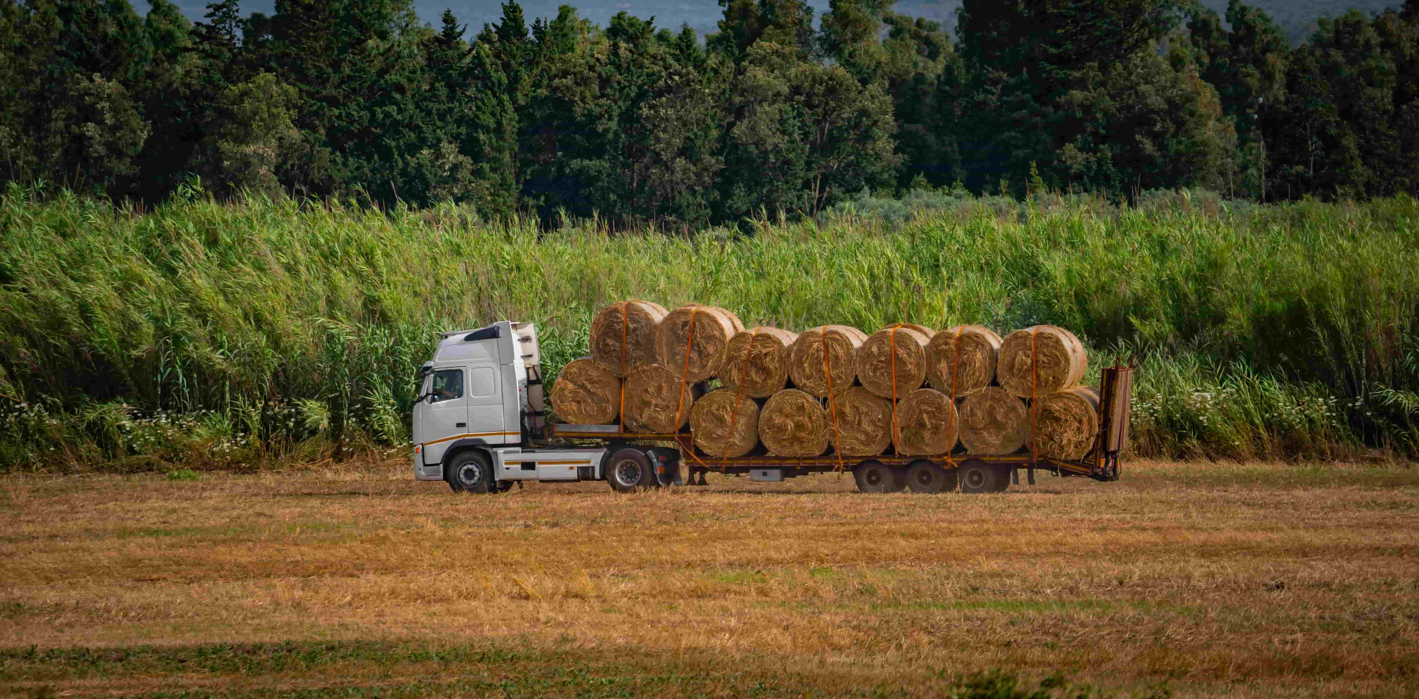 Agriculture transport